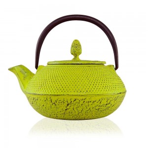 .amazon 45.00 teiera color line tetsubin tenshi in ghisa 600ml di The Exotic Teapot