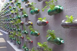 architettura green-wall-garden-recycling-plastic-bottles