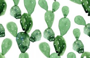 carta-da-parati-acquerello-cactus-by-anewall