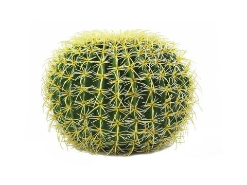 amazon-cactus-artificiale-cuscino-della-suocera-verde-giallo-45-cm-cactus-finto-cactus-palla-artplants