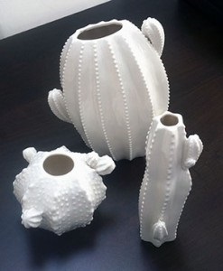 design-vasi-cactus-pot-co-di-fioreriadassie
