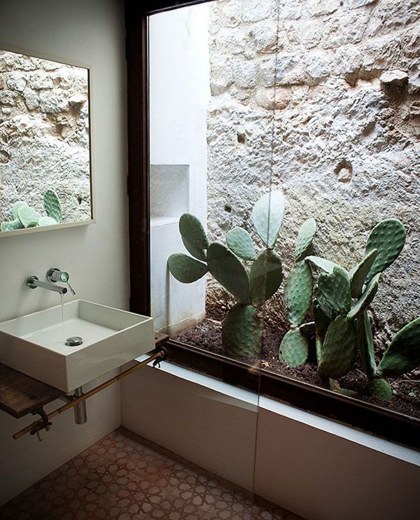 pianta-indoor-cactus-bathroom-ideas
