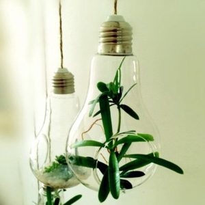 amazon-soledi-design-fantastico-portafiori-pianta-in-vetro-vaso-da-fiori-sospeso-a-forma-di-bulbo-trasparente-fiori-pianta-acquatica-idrofonico