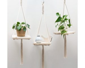 hanger-plant-images-2