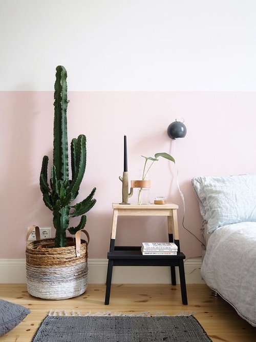 Arredare con le piante architettura e design a roma Vaso per cactus grande
