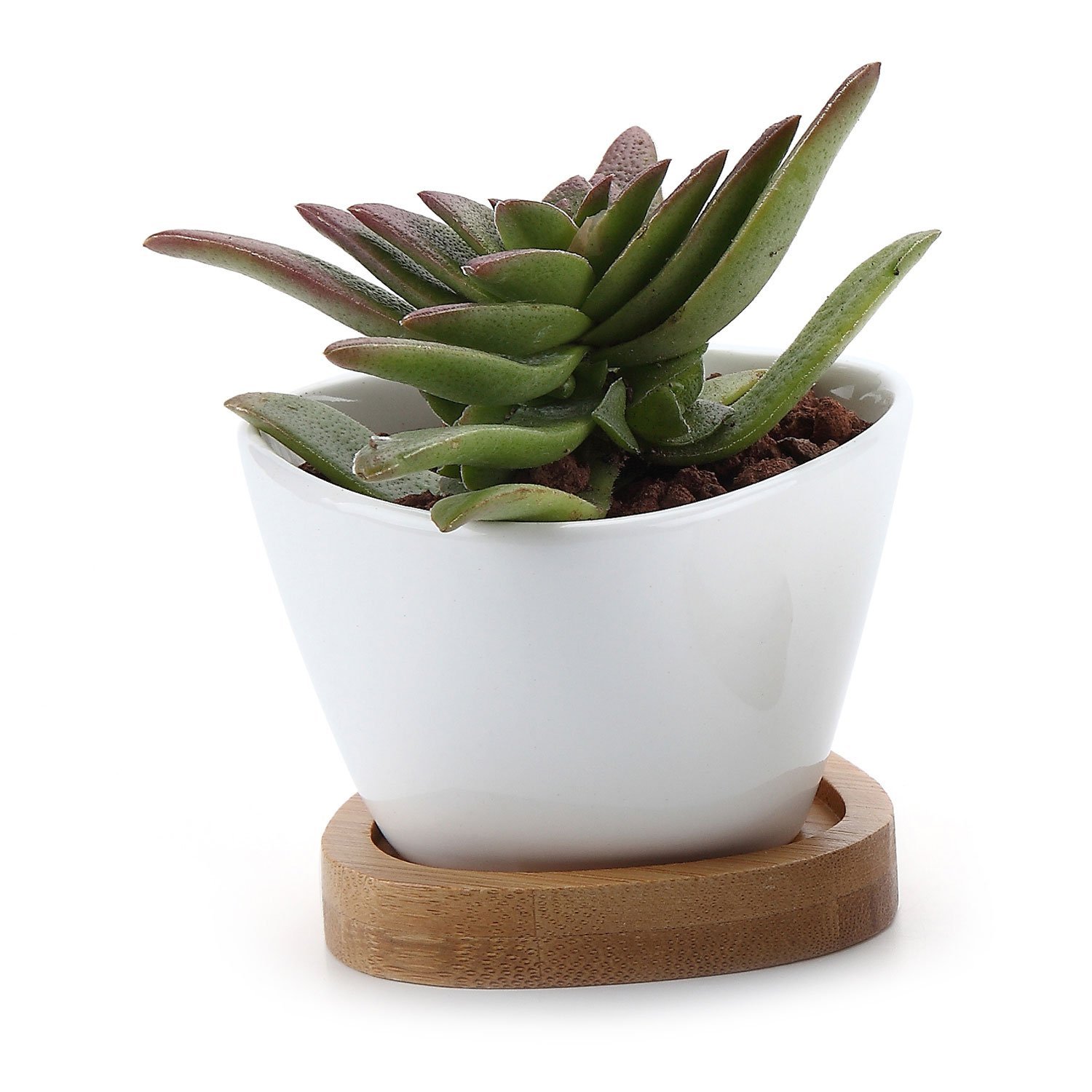 Vasetto In Ceramica Bianca Rettangolare Per Piante Grasse Con Vassoio In Legno - 17x8,5x5,7 Cm - Decorazione Da Tavolo