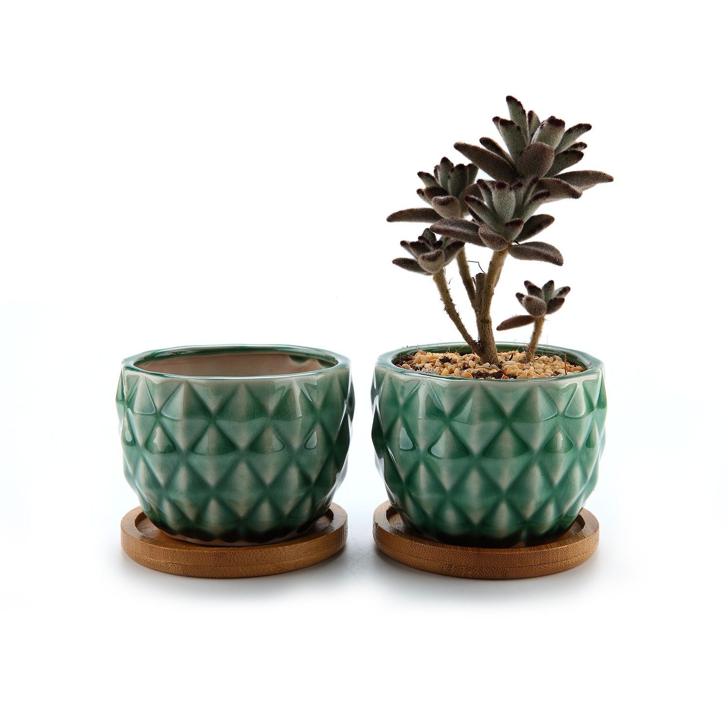 ..amazon ComSaf Vaso per Pianta Grassa Vaso di Piante con Vassoio di bambù Verde 8.3CM Ceramica Forma di Ananas Set di 2, Fioriere di Cactus Contenitori Vasi di Fiori Decorativo del Desktop Davanzale