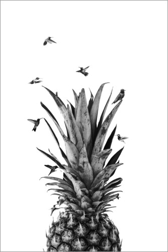 Arredare con le ananas, saluto all’estate. - image su-posterlounge-uccelli-di-ananas-di-NiMadesign on http://www.designedoo.it