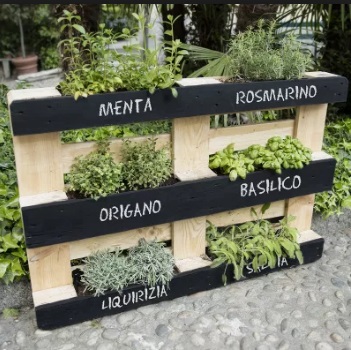 Progettazione del verde e architettonica per un terrazzo esagonale - image Immagine on http://www.designedoo.it