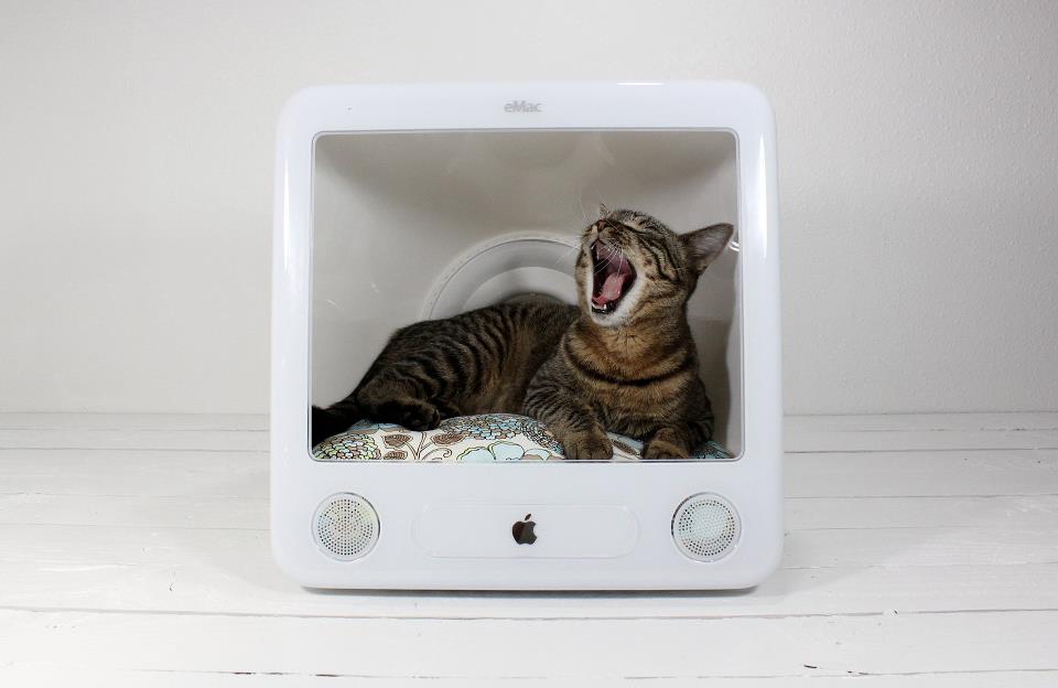 Pet design, accessori per animali e design a forma di pet! - image recycling-mac-cat-bed on http://www.designedoo.it